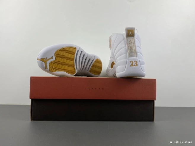 Rep WMNS Air Jordan Phantom 12 FD9101-007 0823